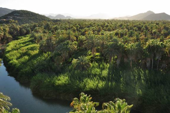 Um verdadeiro oásis na região de Mulegé, na Baja California - México
